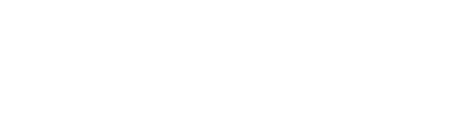 Butik Picasso logo