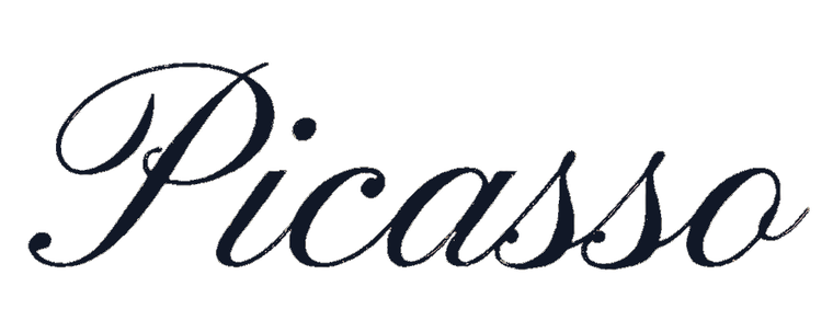 Butik Picasso logo